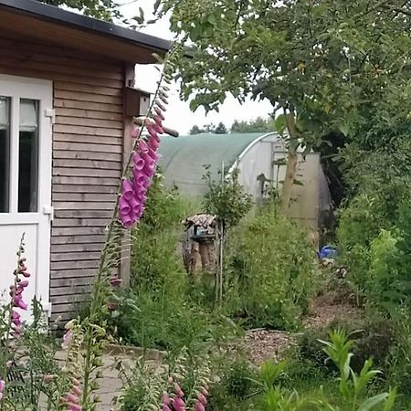 Fairschlafen - Gartenwohnung Buecken Екстер'єр фото