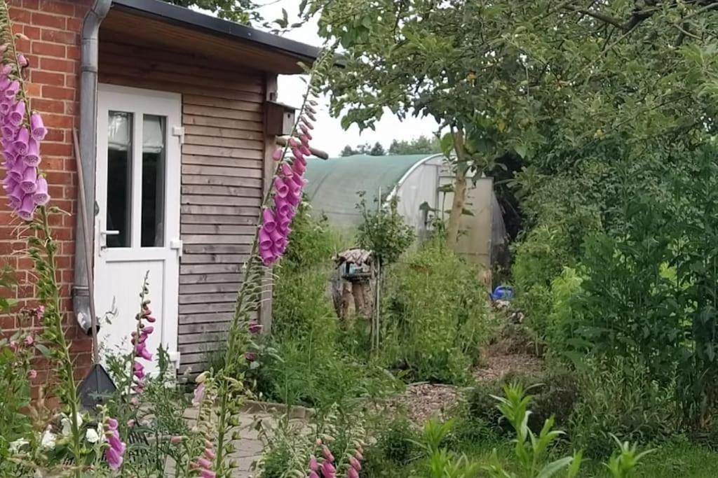 Fairschlafen - Gartenwohnung Buecken Екстер'єр фото